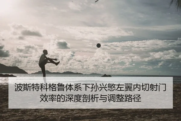 bo-si-te-ke-ge-lu-ti-xi-xia-sun-xing-min-zuo-yi-nei-qie-she-men-xiao-lv-de-shen-du-pou-xi-yu-tiao-zheng-lu-jing-2-616.jpg